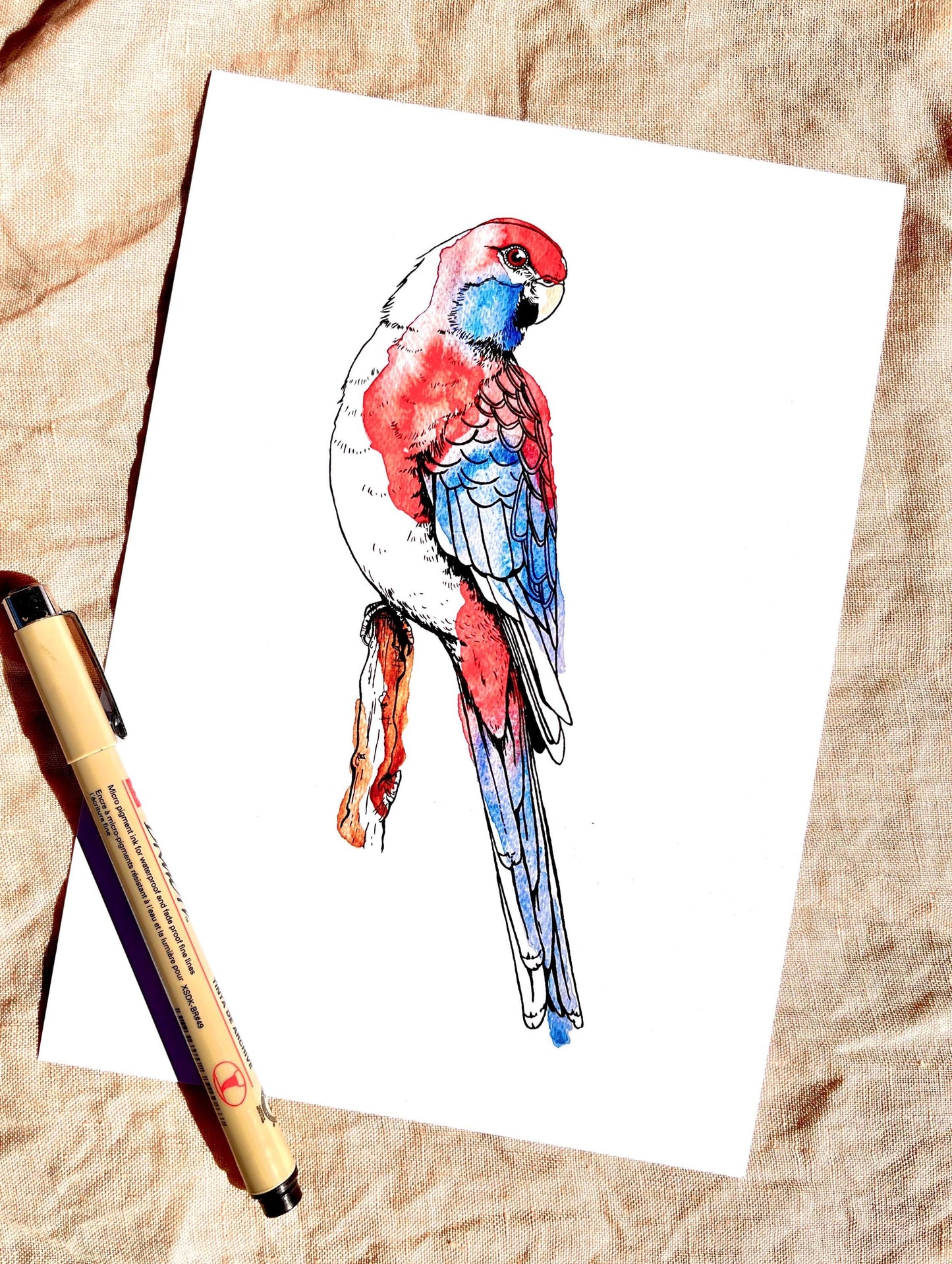 “Crimson Rosella’ Watercolour