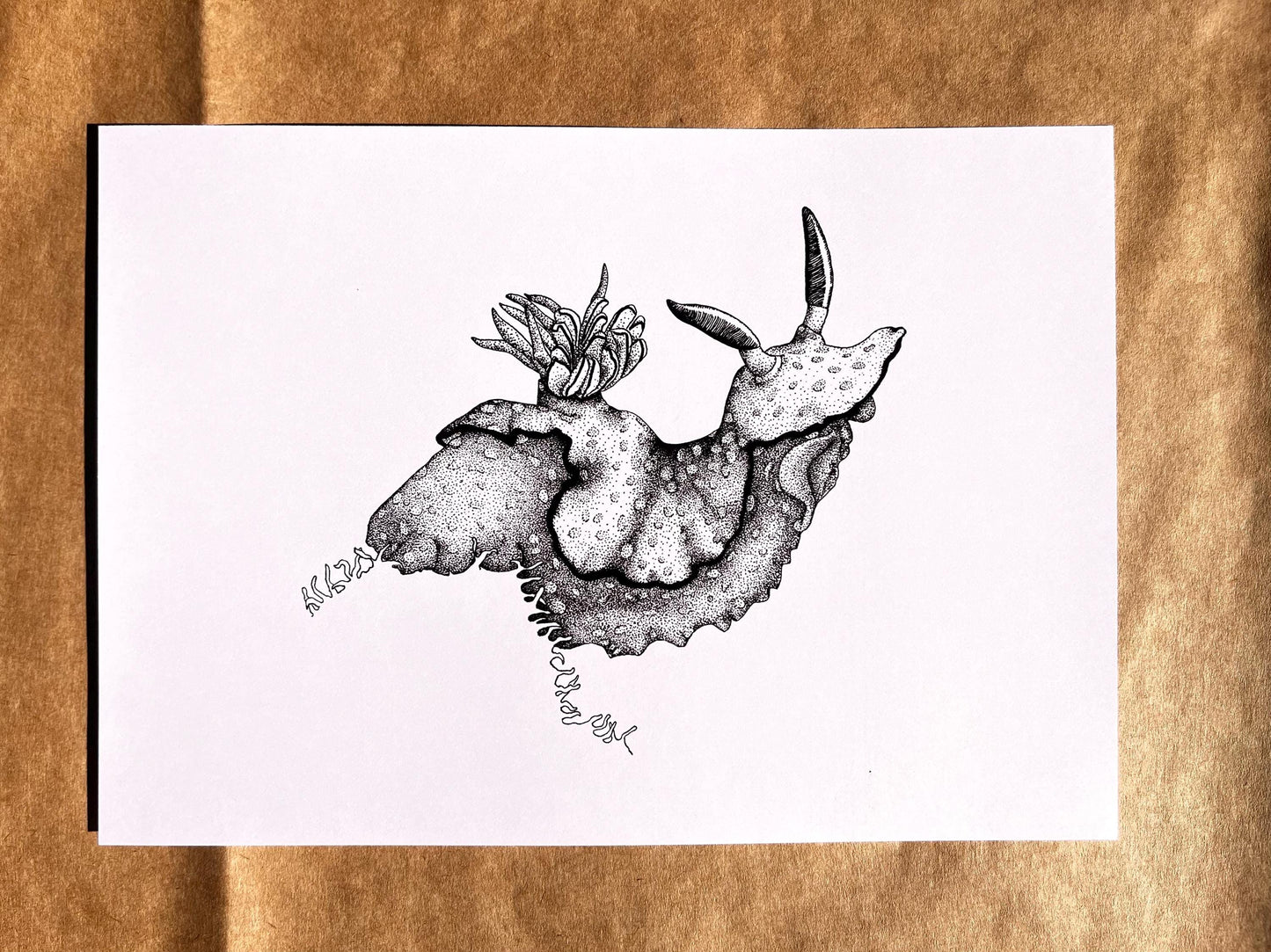 “Nudibranch on a ledge” ink drawing