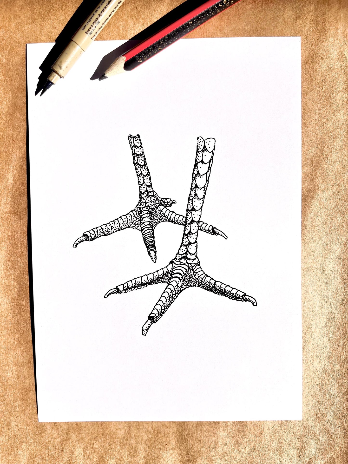 “Chicken Feet” Ink Drawing