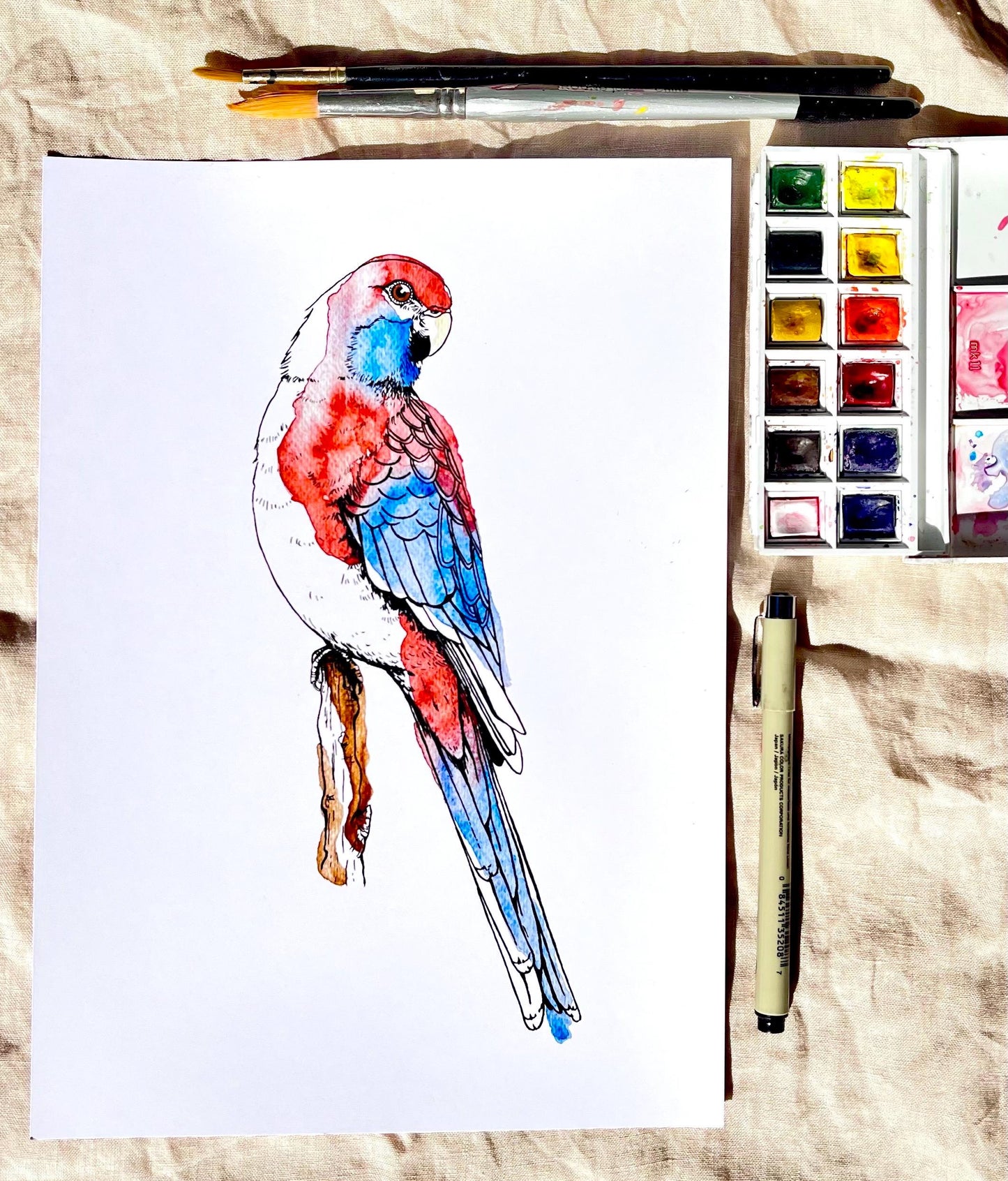 “Crimson Rosella’ Watercolour