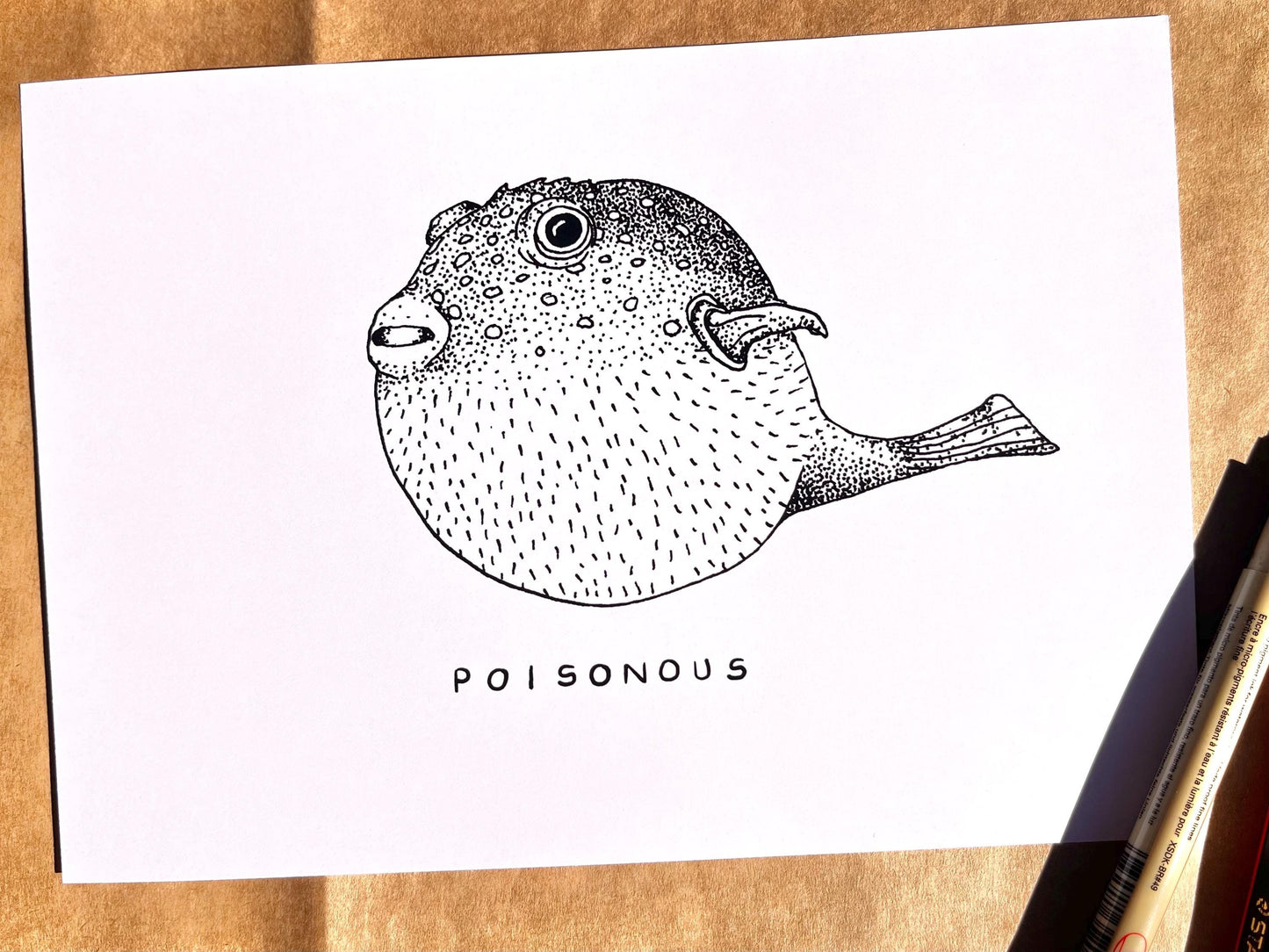 “Poinsonous Puffer” ink drawing