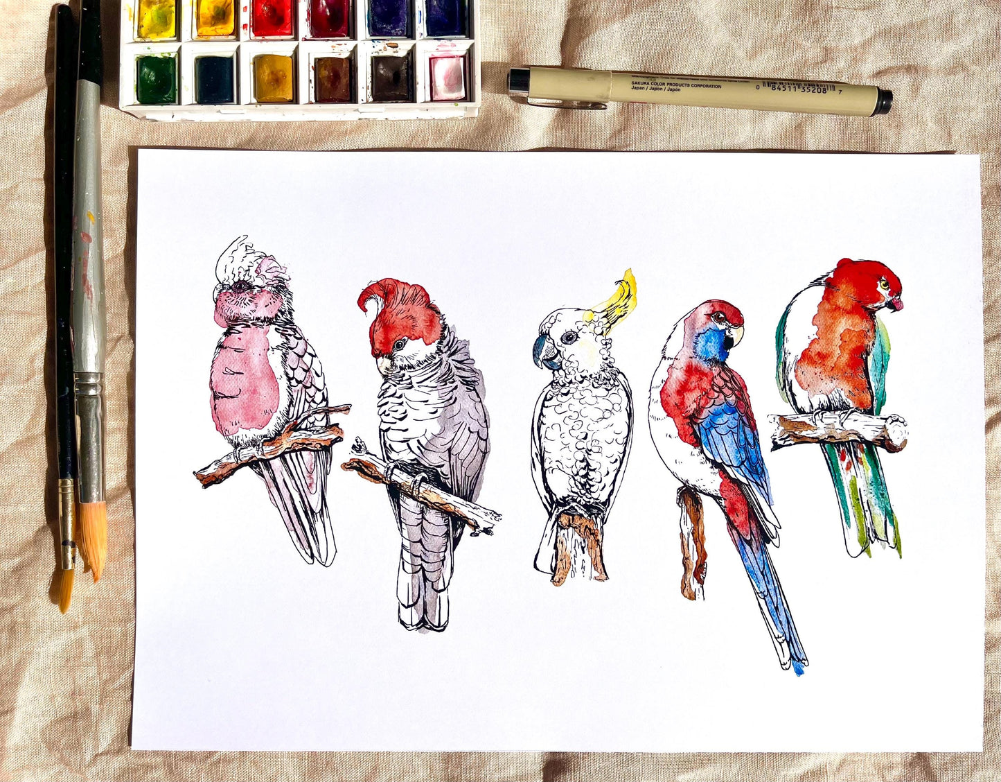 “Australian Parrots” watercolour