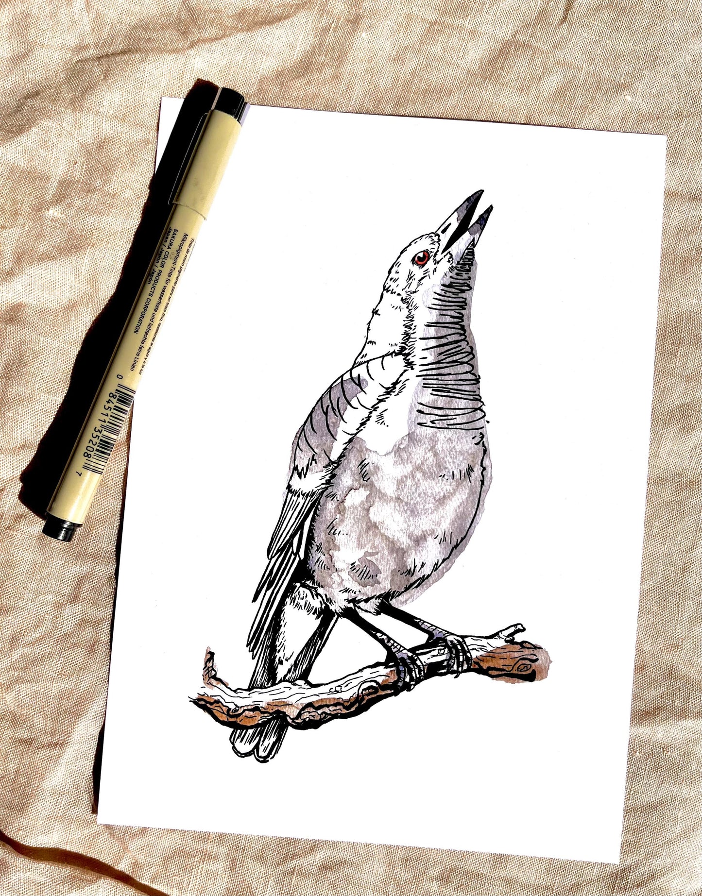 “Magpie” Watercolour