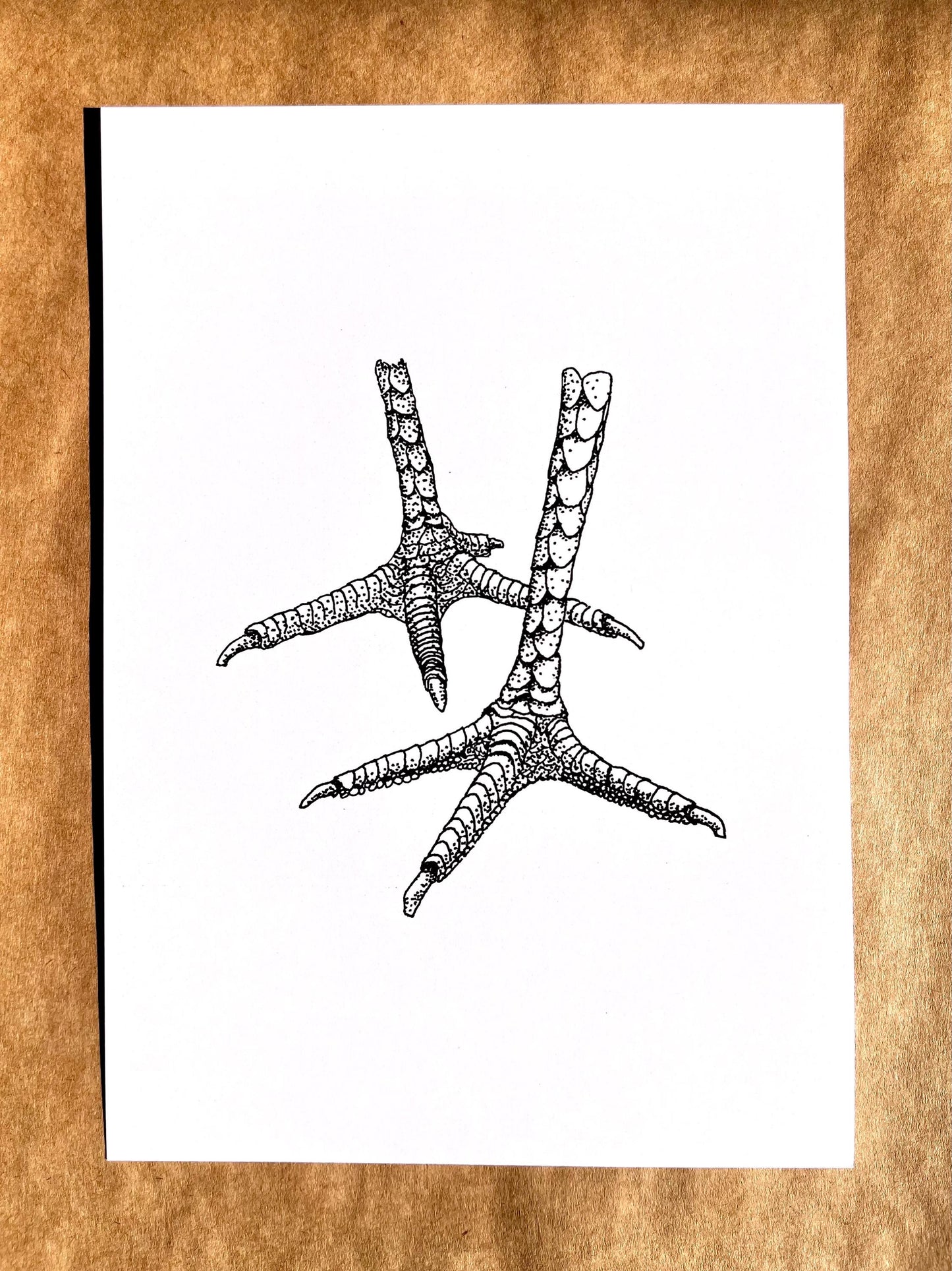 “Chicken Feet” Ink Drawing