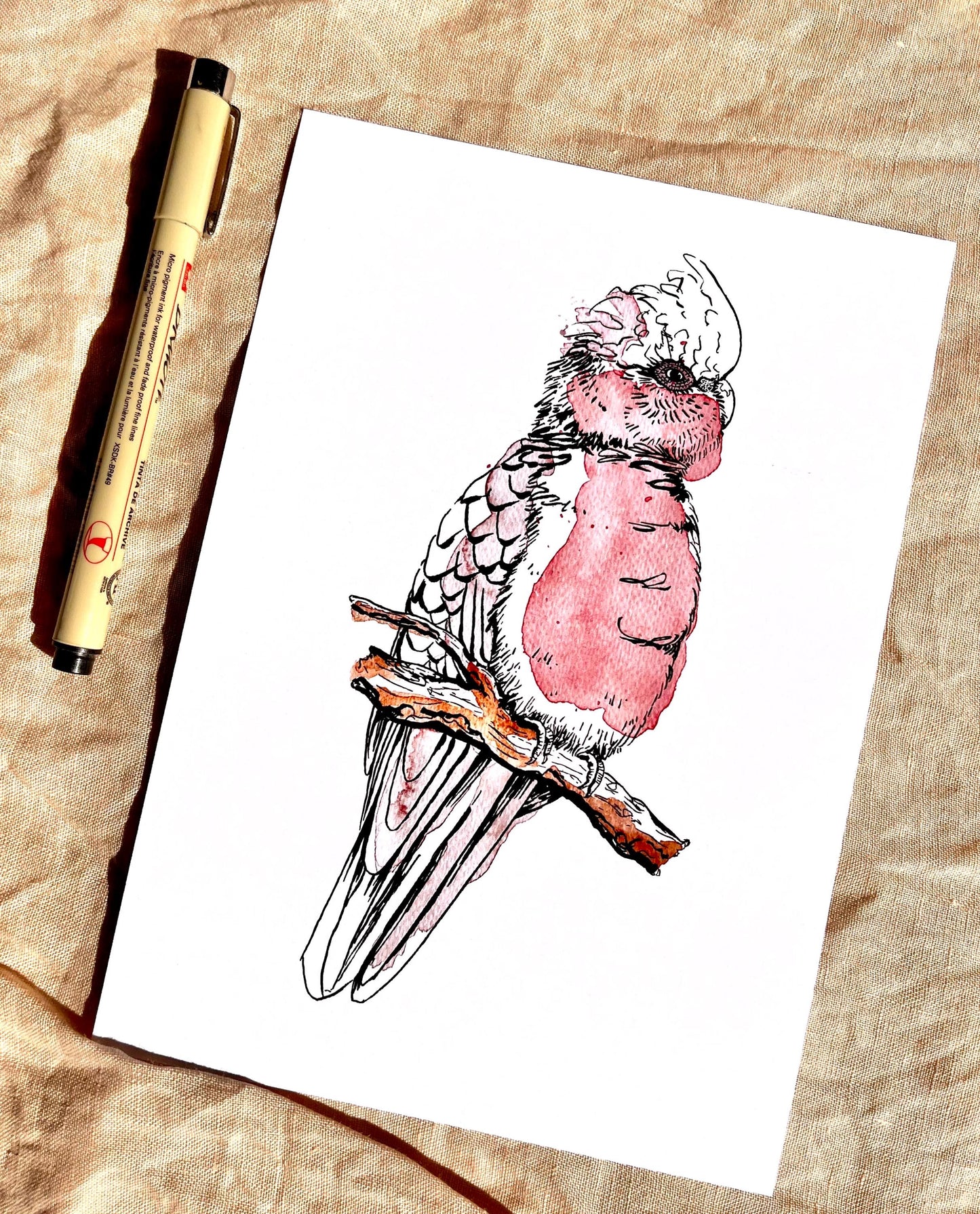“Galah” watercolour