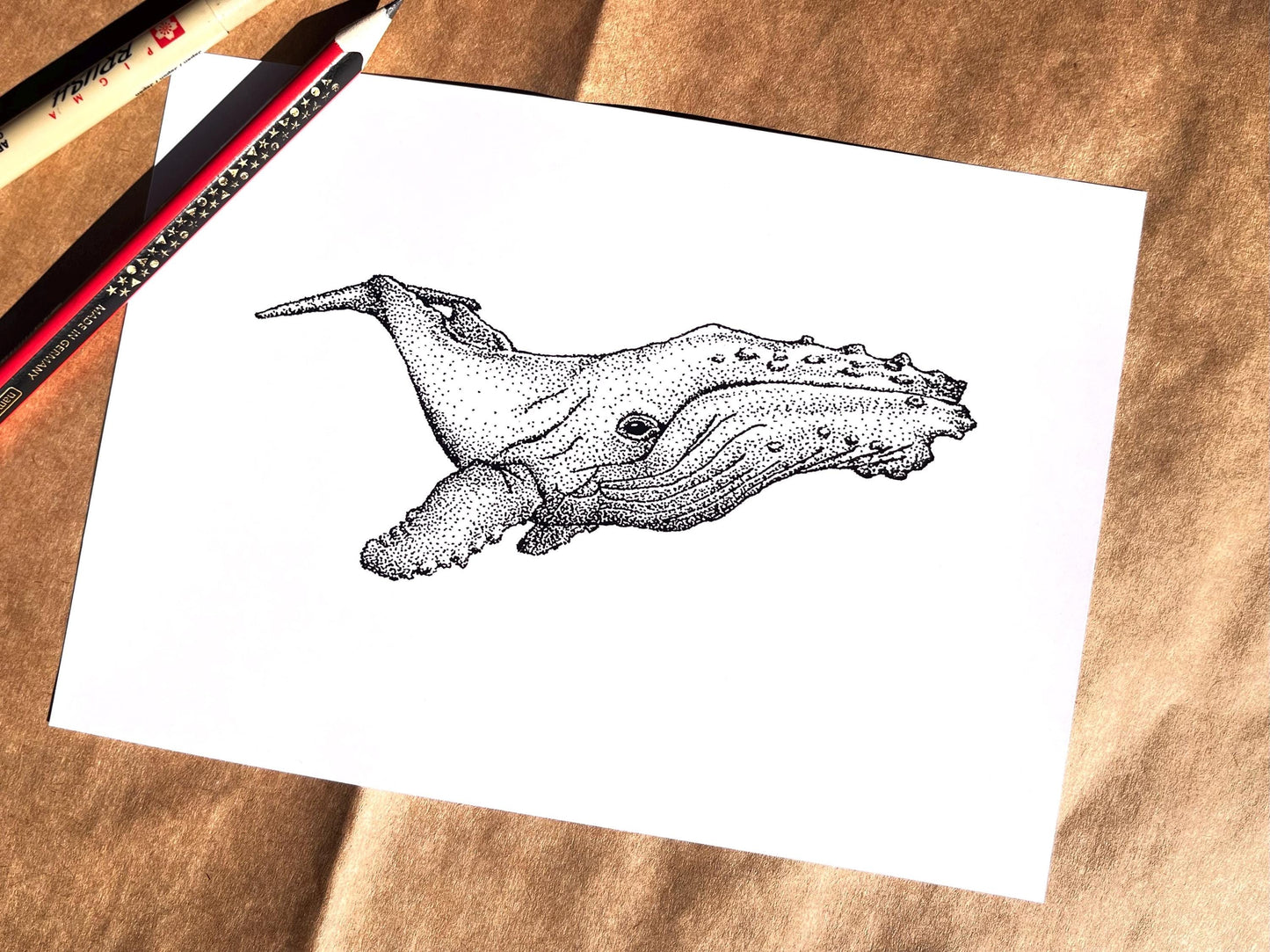 “Humpback Whale” Ink Drawing