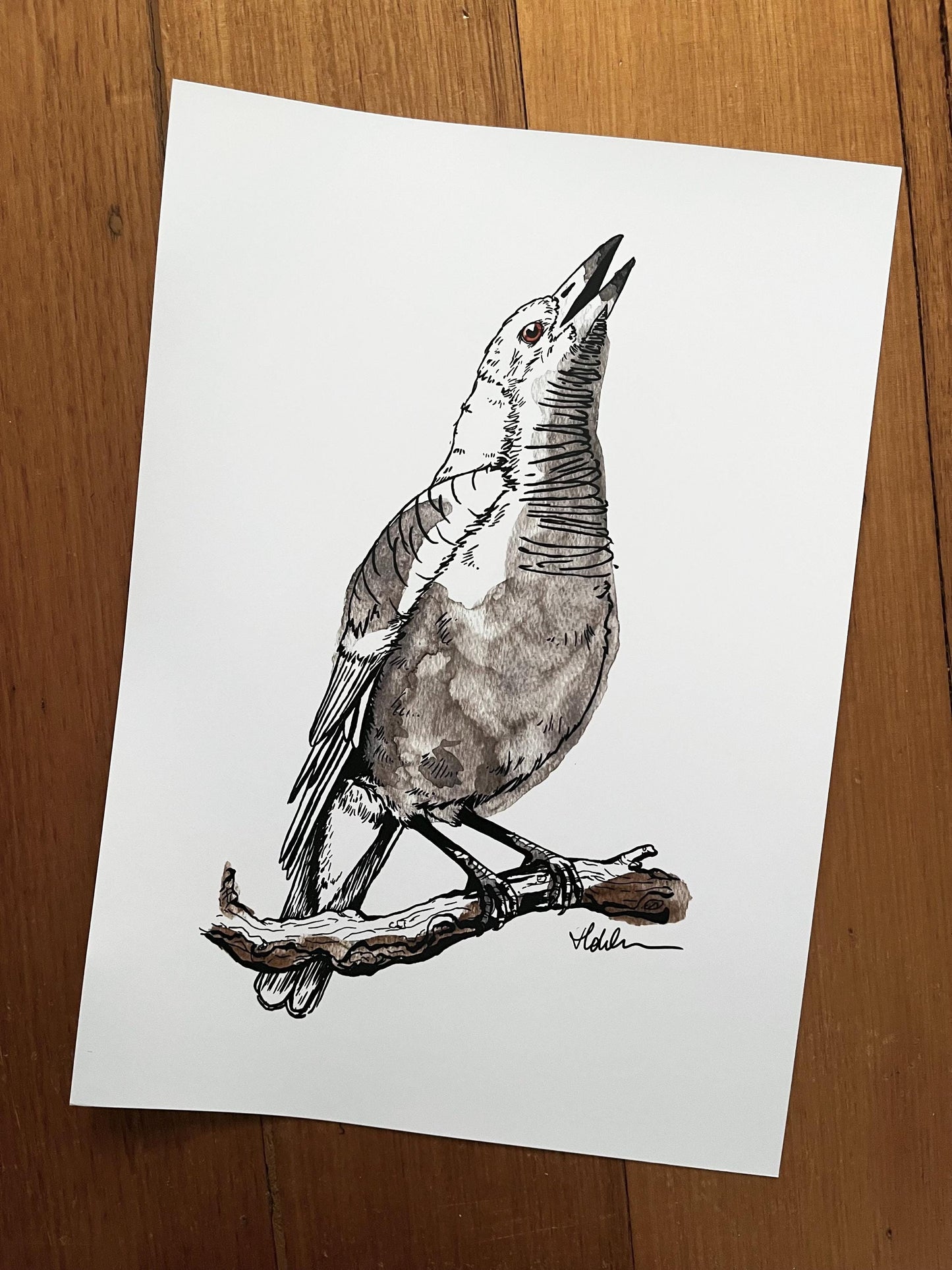 “Magpie” Watercolour