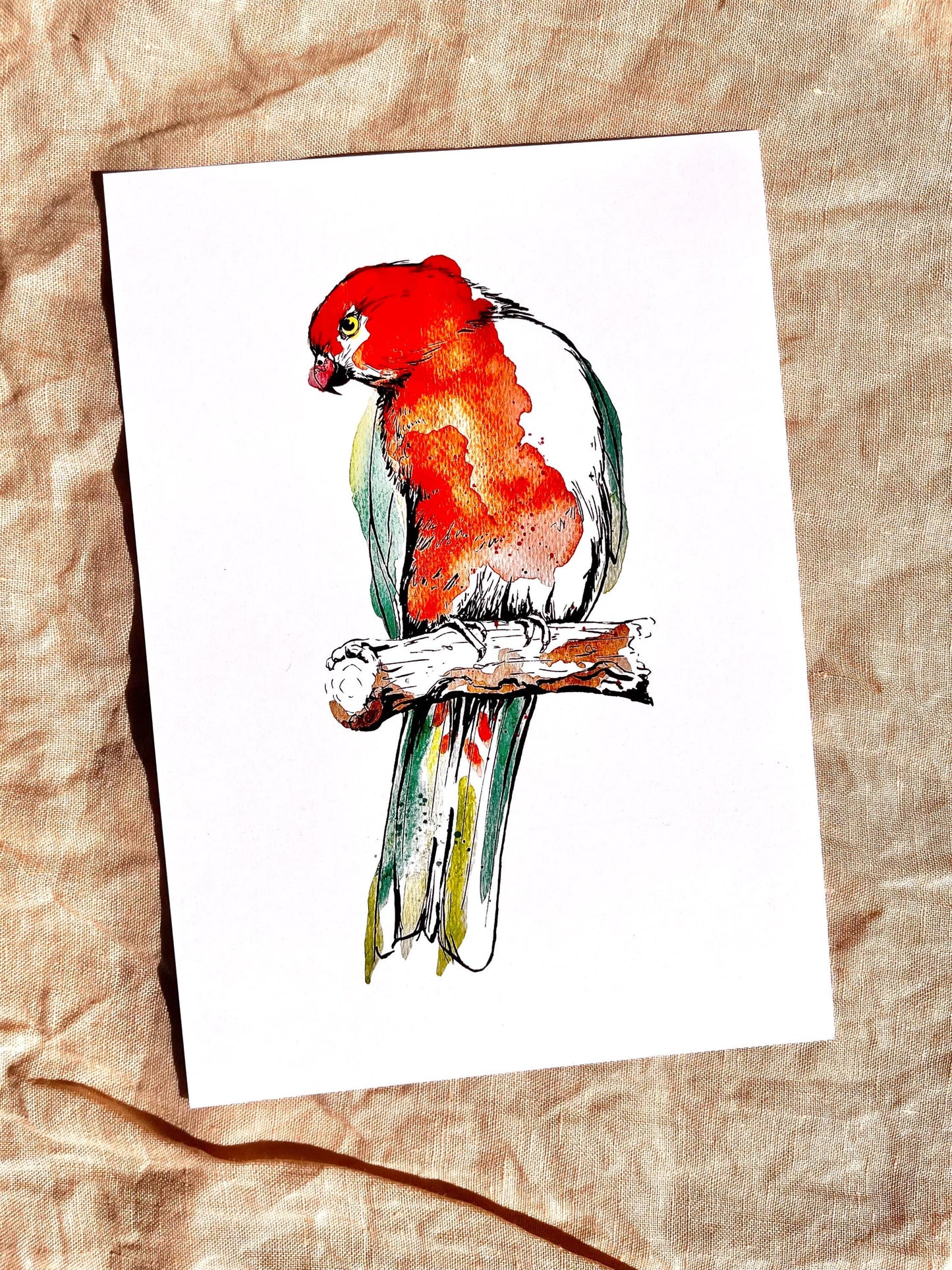 “King Parrot” Watercolour