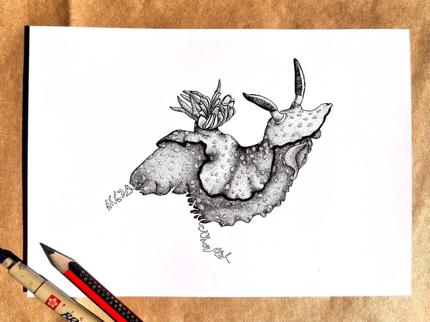 “Nudibranch on a ledge” ink drawing