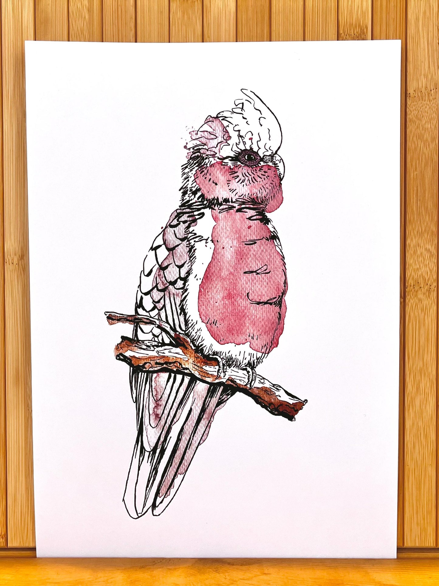 “Galah” watercolour