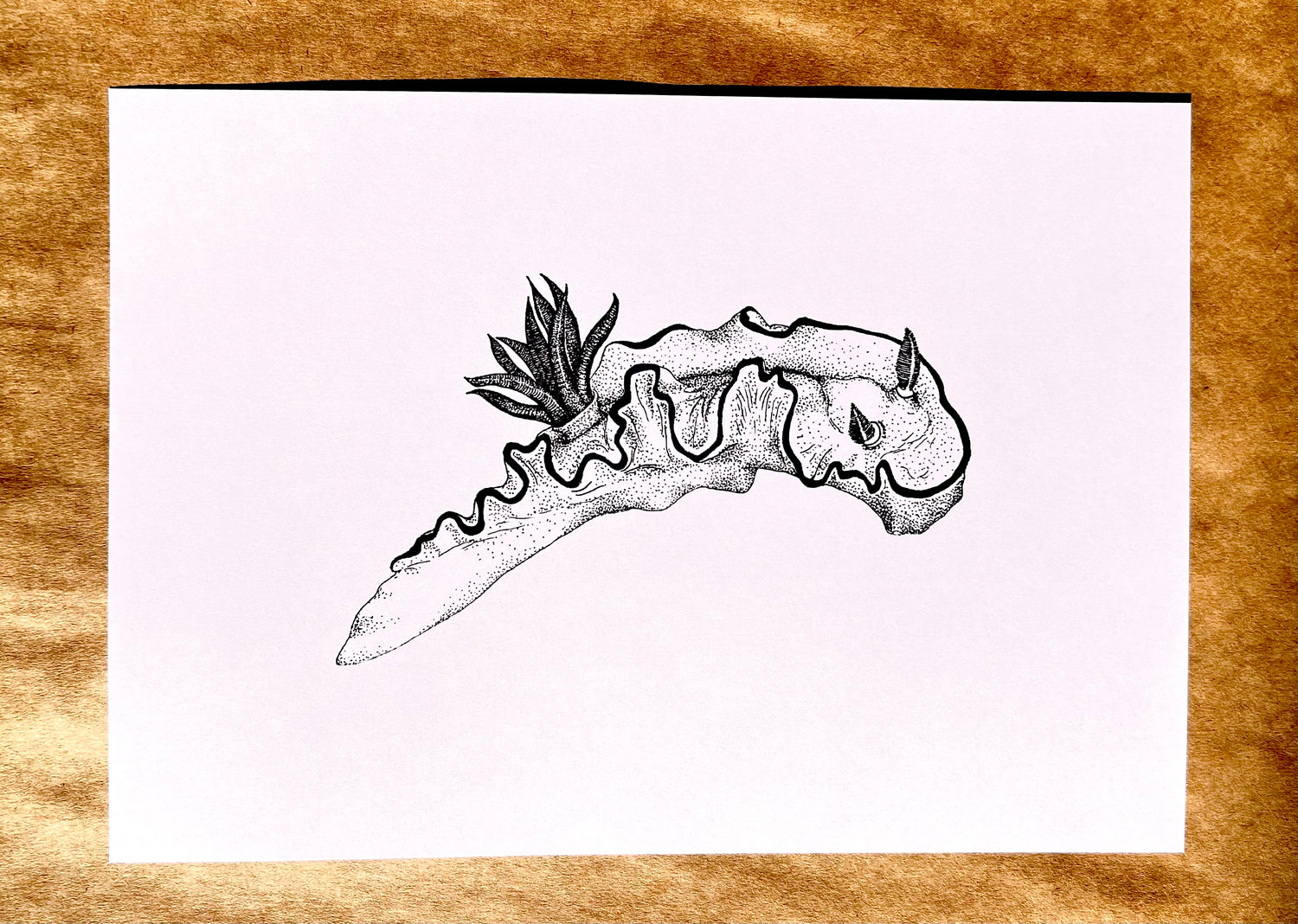 Ink Drawings